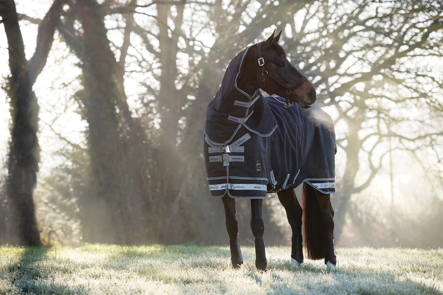 Hot HORSE HEALTH TRADE LeMieux® Arika Storm-Tek 350 Gram Turnout Blanket Navy