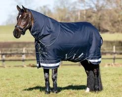 Best HORSE HEALTH TRADE LeMieux® Arika Storm-Tek 100 Gram Turnout Blanket with Leg Straps Navy/White/Navy
