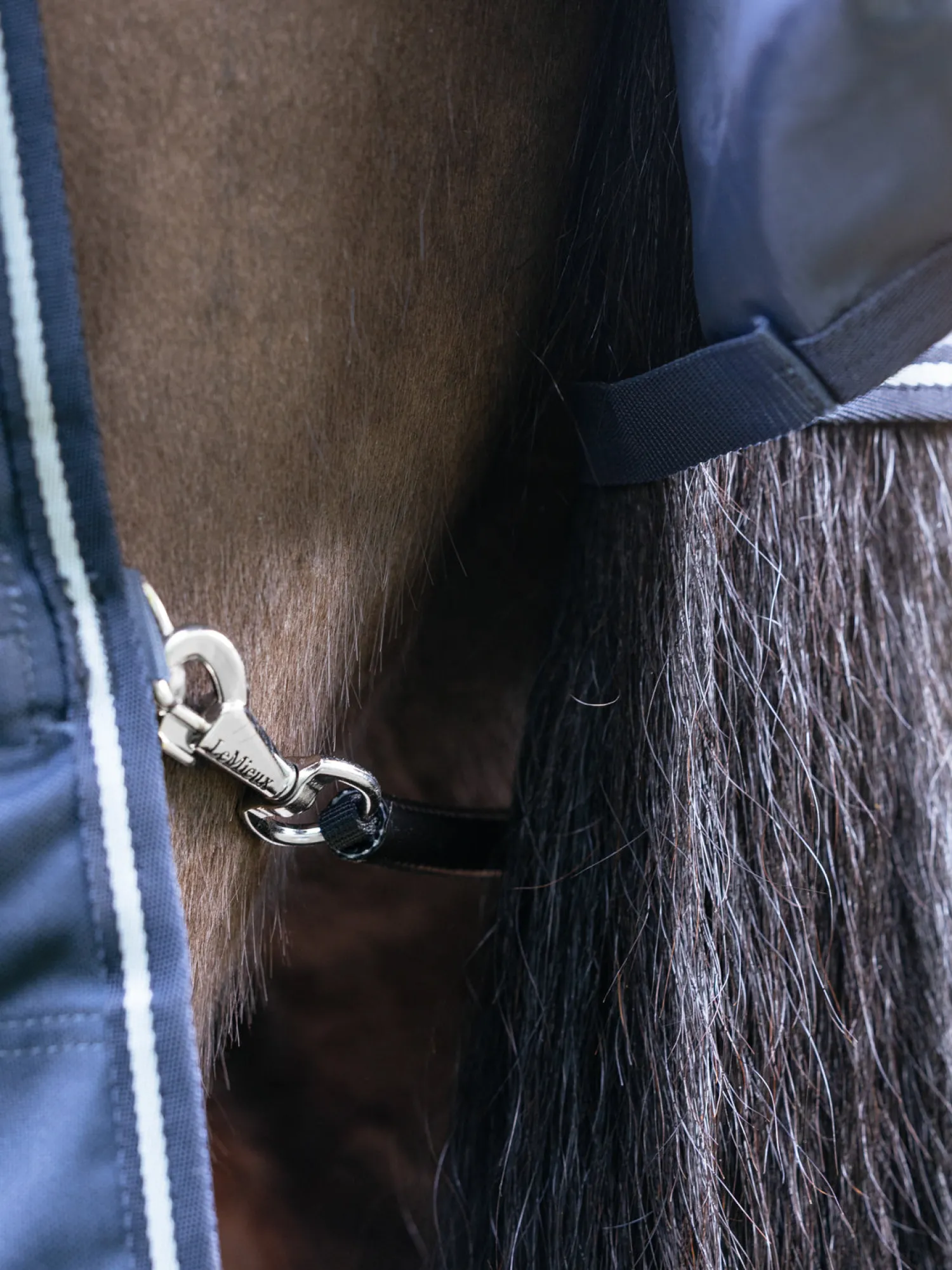 Best HORSE HEALTH TRADE LeMieux® Arika Storm-Tek 100 Gram Turnout Blanket with Leg Straps Navy/White/Navy