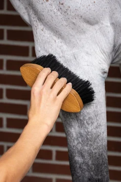 Online HORSE HEALTH TRADE LeMieux® Artisan Flick Brush Brown