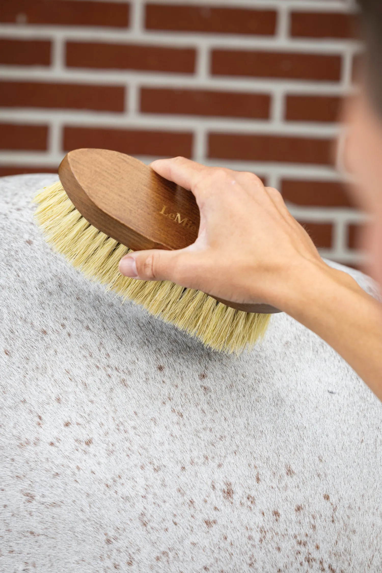 Best HORSE HEALTH TRADE LeMieux® Artisan Soft Finishing Brush Brown