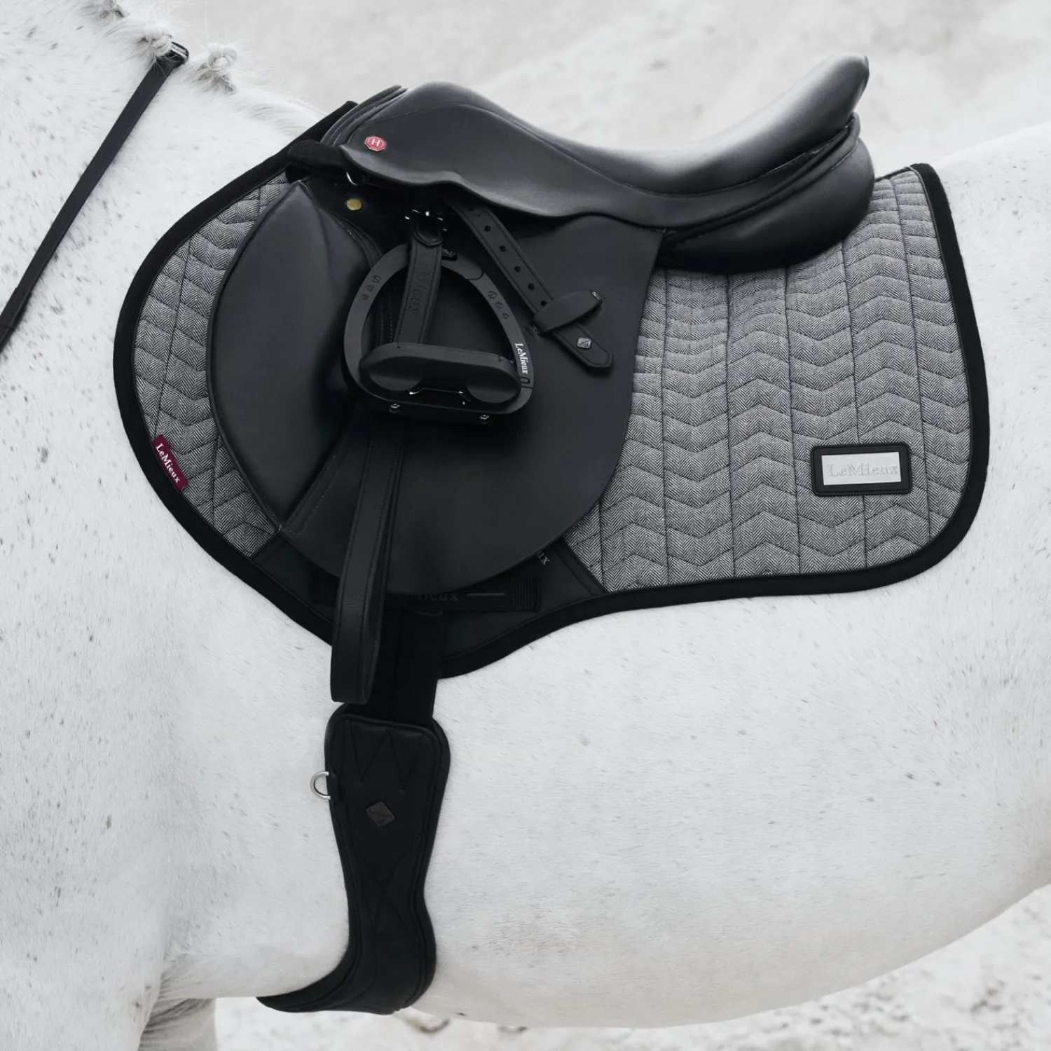 Discount HORSE HEALTH TRADE LeMieux® Aspen Close Contact Saddle Pad