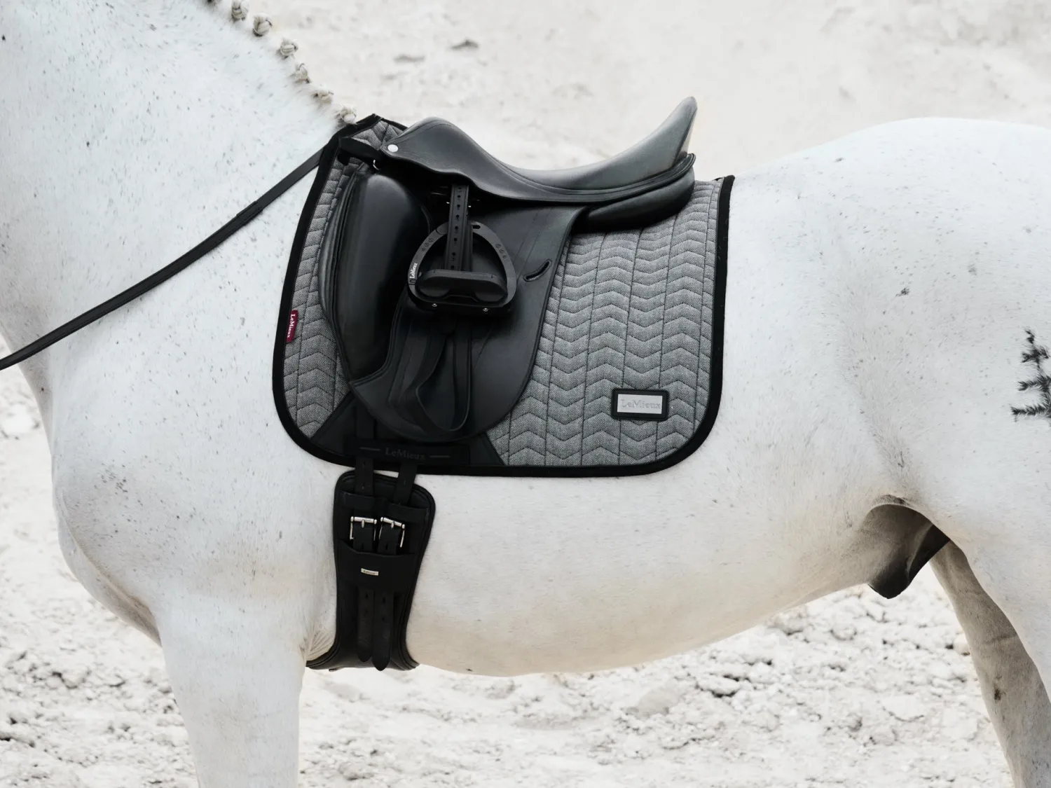 Hot HORSE HEALTH TRADE LeMieux® Aspen Dressage Saddle Pad