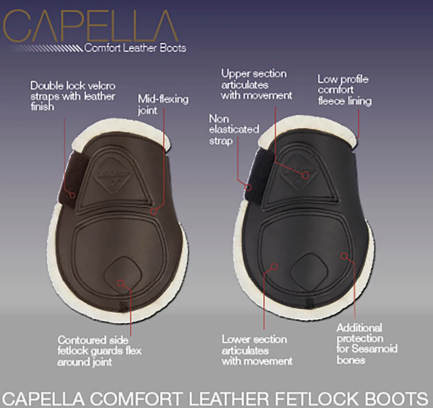 Online HORSE HEALTH TRADE LeMieux® Capella Comfort Fetlock Boots