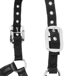 Hot HORSE HEALTH TRADE LeMieux® Capella Halter Black
