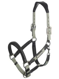 Clearance HORSE HEALTH TRADE LeMieux® Capella Headcollar