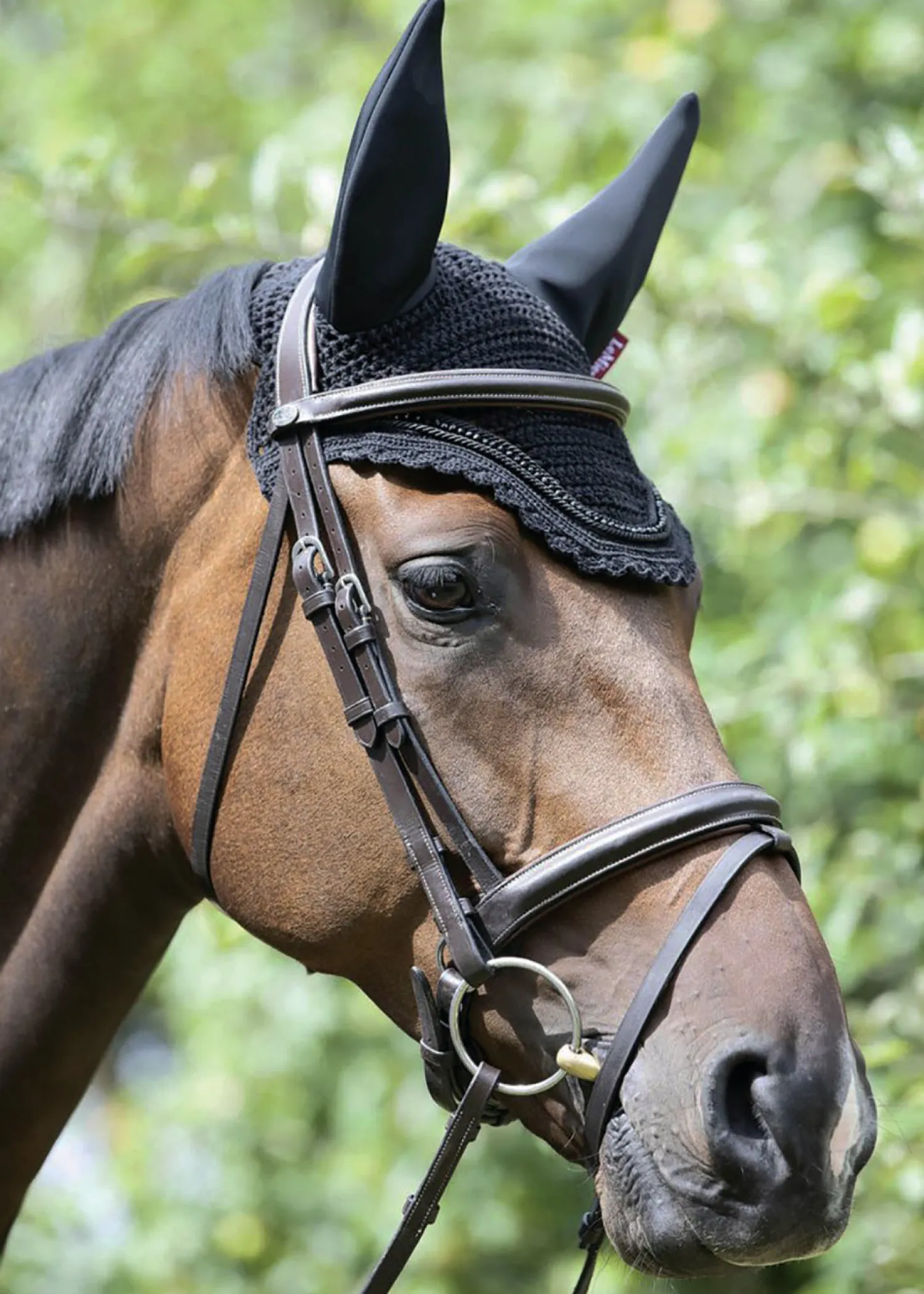 Discount HORSE HEALTH TRADE LeMieux® Diamanté Acoustic Fly Hood