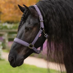 Discount HORSE HEALTH TRADE LeMieux® Essence Halter