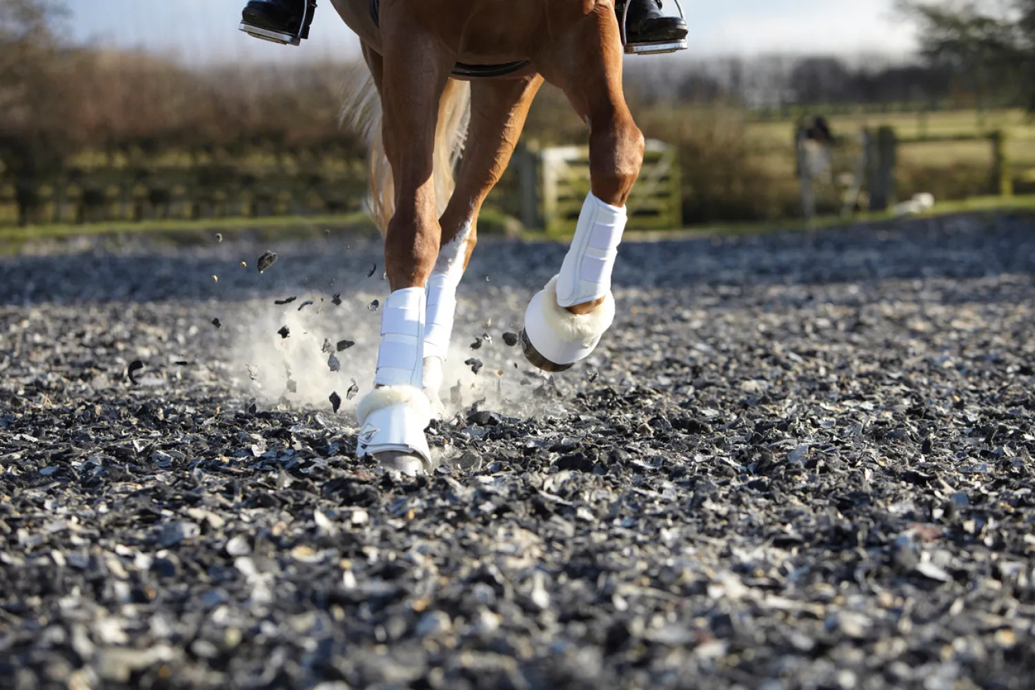 HORSE HEALTH TRADE LeMieux® Fleece WrapRound Overreach Boots