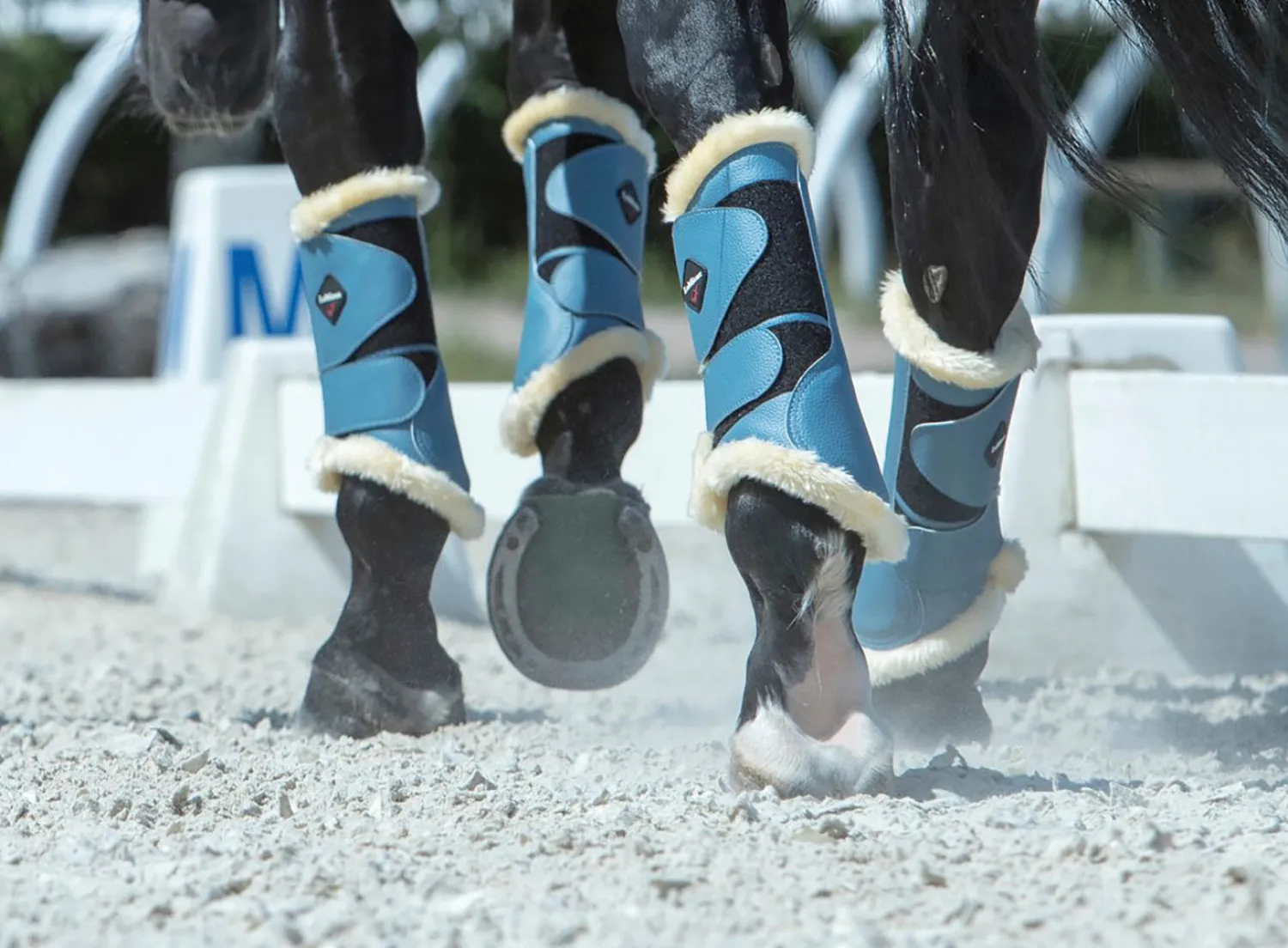 Outlet HORSE HEALTH TRADE LeMieux® Fleece-Lined Brushing Boots
