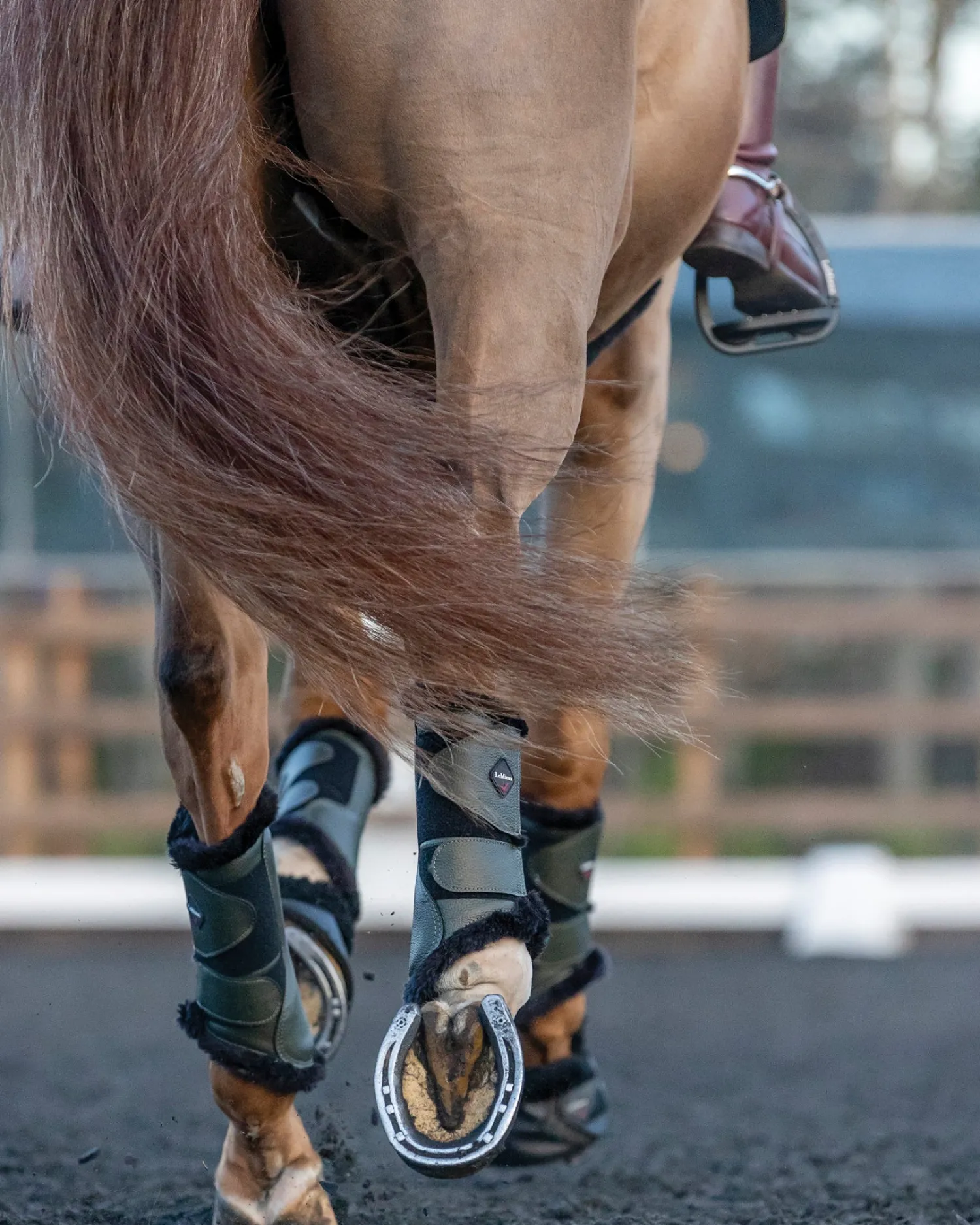 Hot HORSE HEALTH TRADE LeMieux® Fleece-Lined Brushing Boots