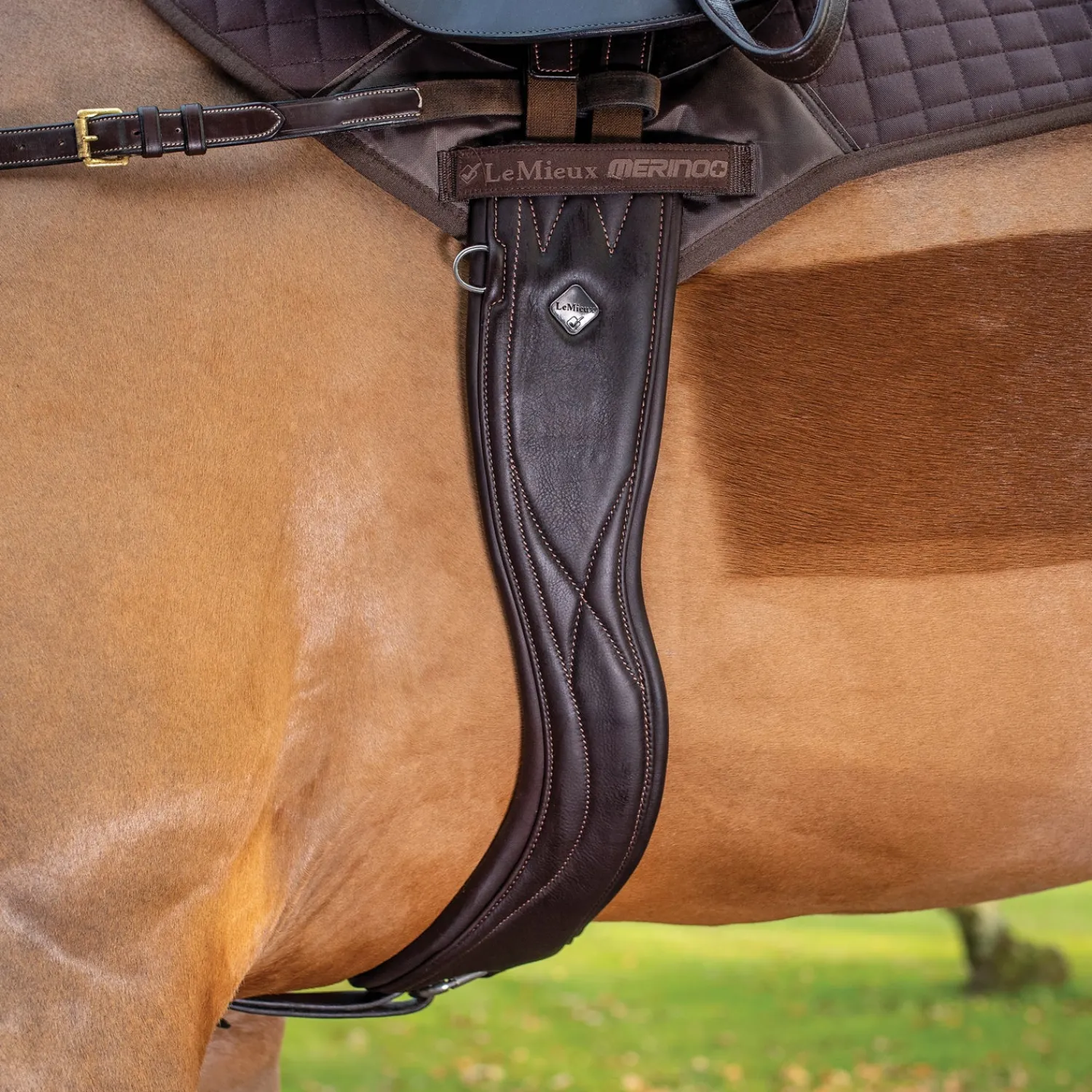 Online HORSE HEALTH TRADE LeMieux® Gel-Tek Anatomic Jumping Girth Brown