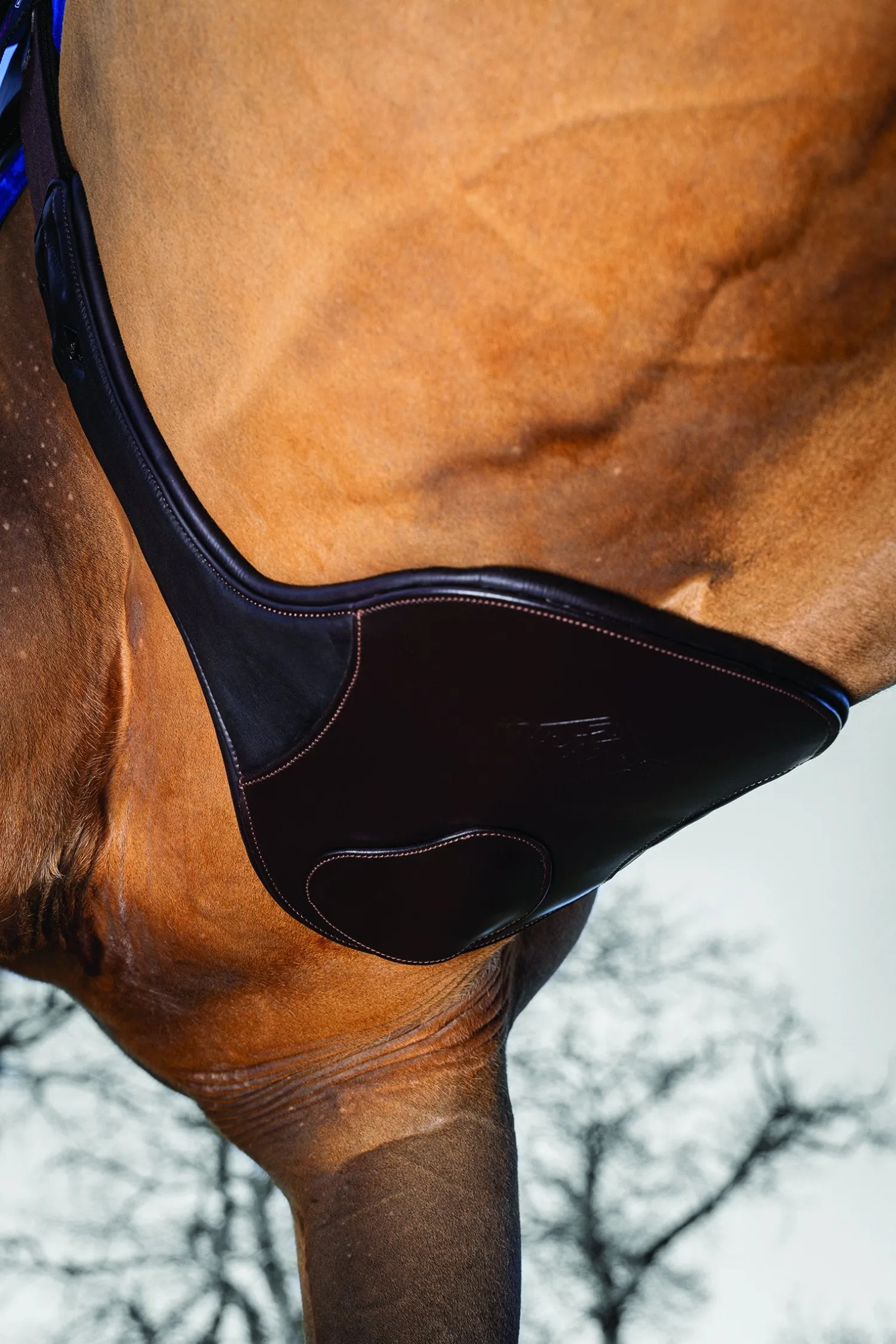 HORSE HEALTH TRADE LeMieux® Gel-Tek Anatomic Long Stud Girth with Magnet