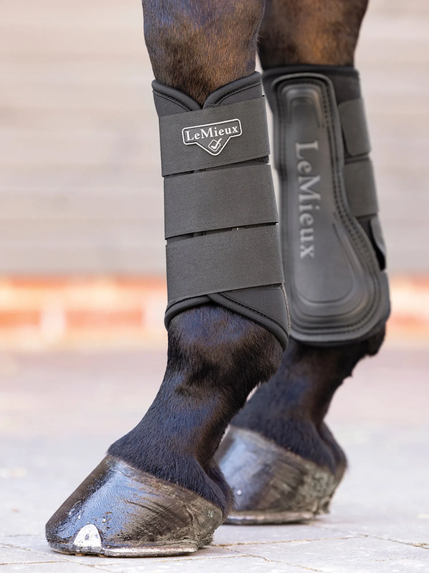 Hot HORSE HEALTH TRADE Lemieux® Grafter Brushing Boots