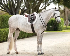 Best HORSE HEALTH TRADE LeMieux® Hunter-Stitched Bridle Havana