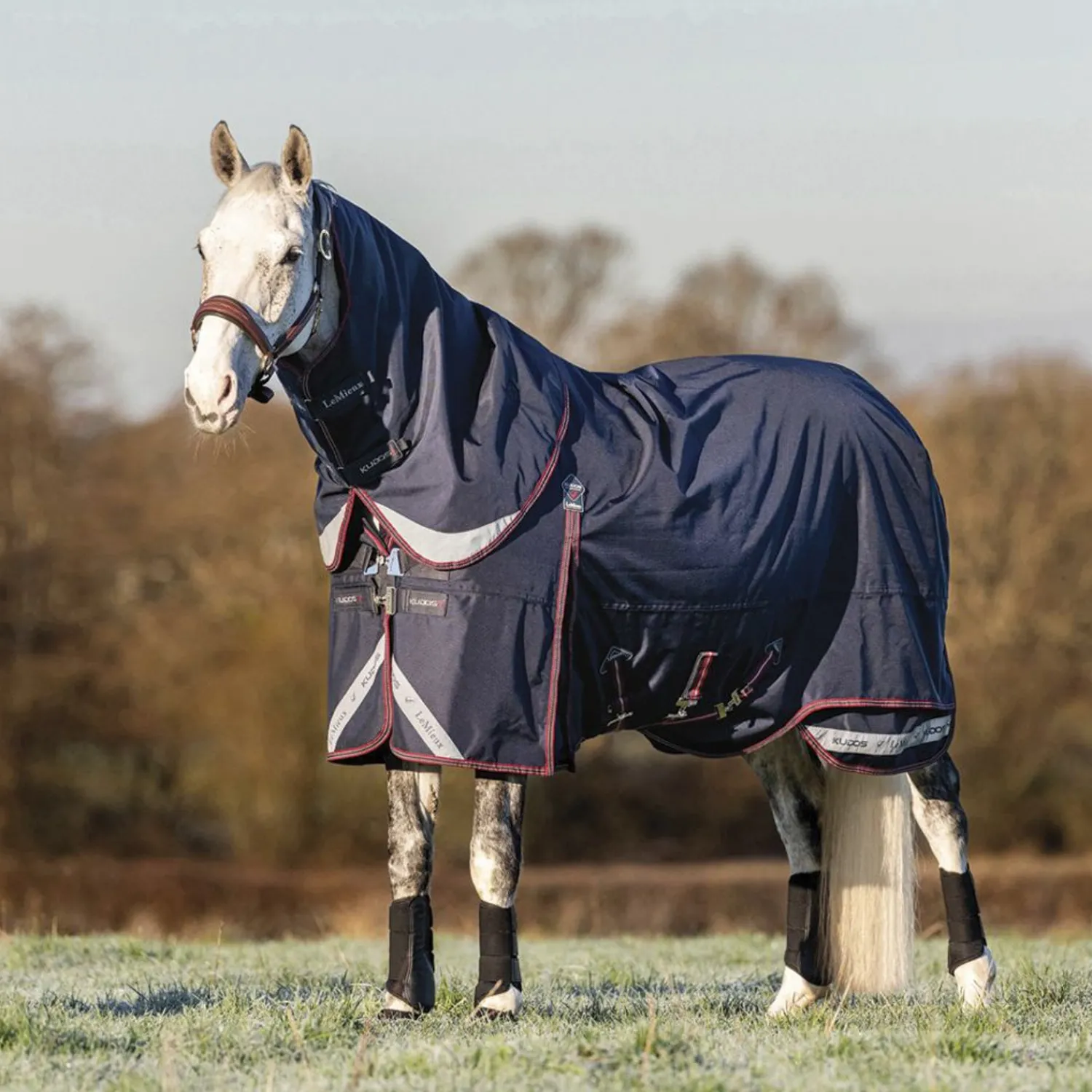 Best HORSE HEALTH TRADE LeMieux® Kudos 200 Gram Turnout Blanket with Leg Straps Navy