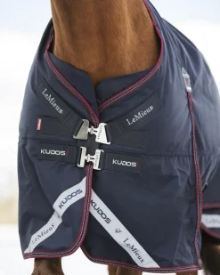 Best HORSE HEALTH TRADE LeMieux® Kudos 200 Gram Turnout Blanket with Leg Straps Navy