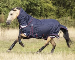 Best HORSE HEALTH TRADE LeMieux® Kudos 100 Gram Turnout Blanket with Leg Straps Navy