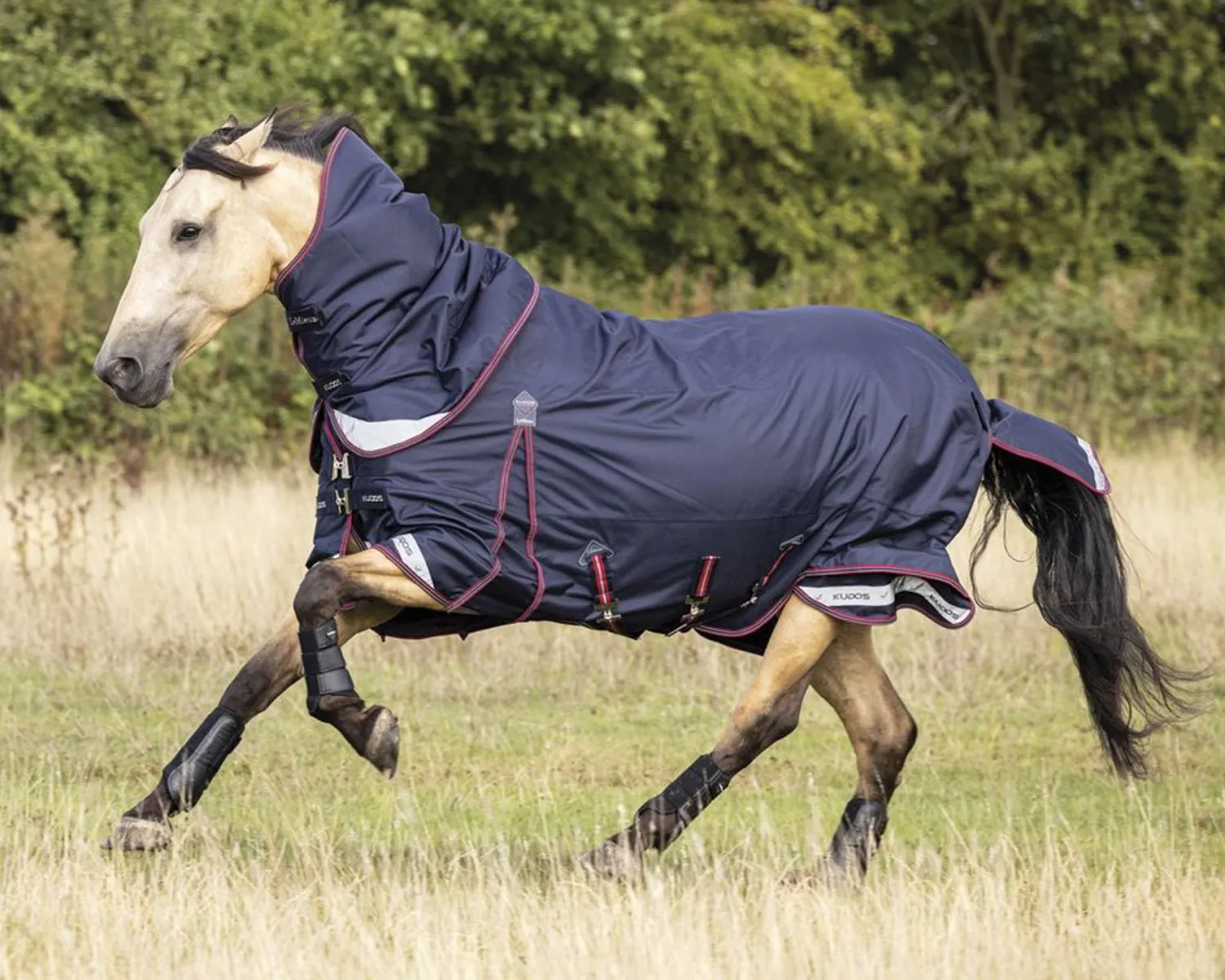 Best HORSE HEALTH TRADE LeMieux® Kudos 100 Gram Turnout Blanket with Leg Straps Navy