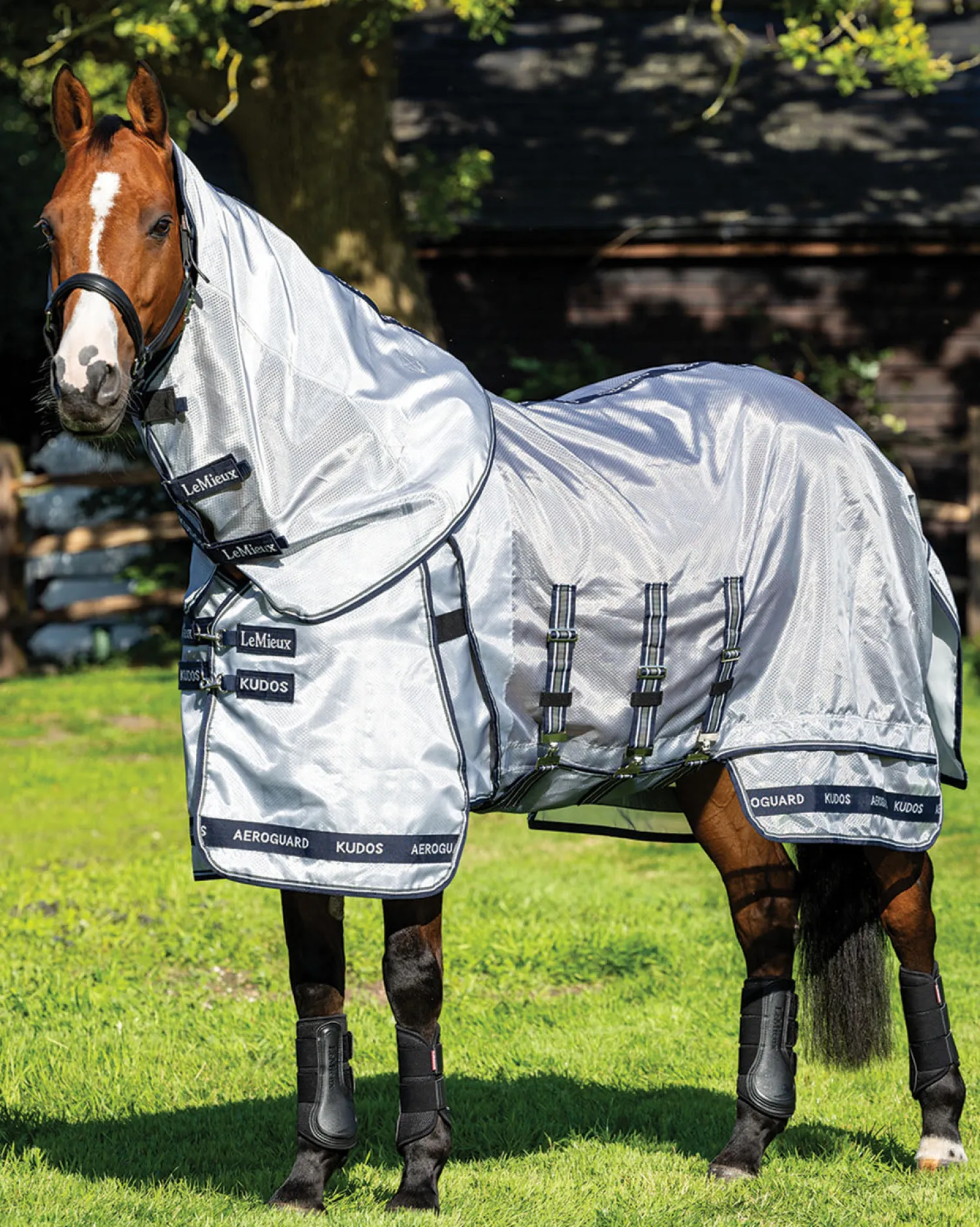 Best HORSE HEALTH TRADE LeMieux® Kudos AeroGuard Fly Sheet Silver