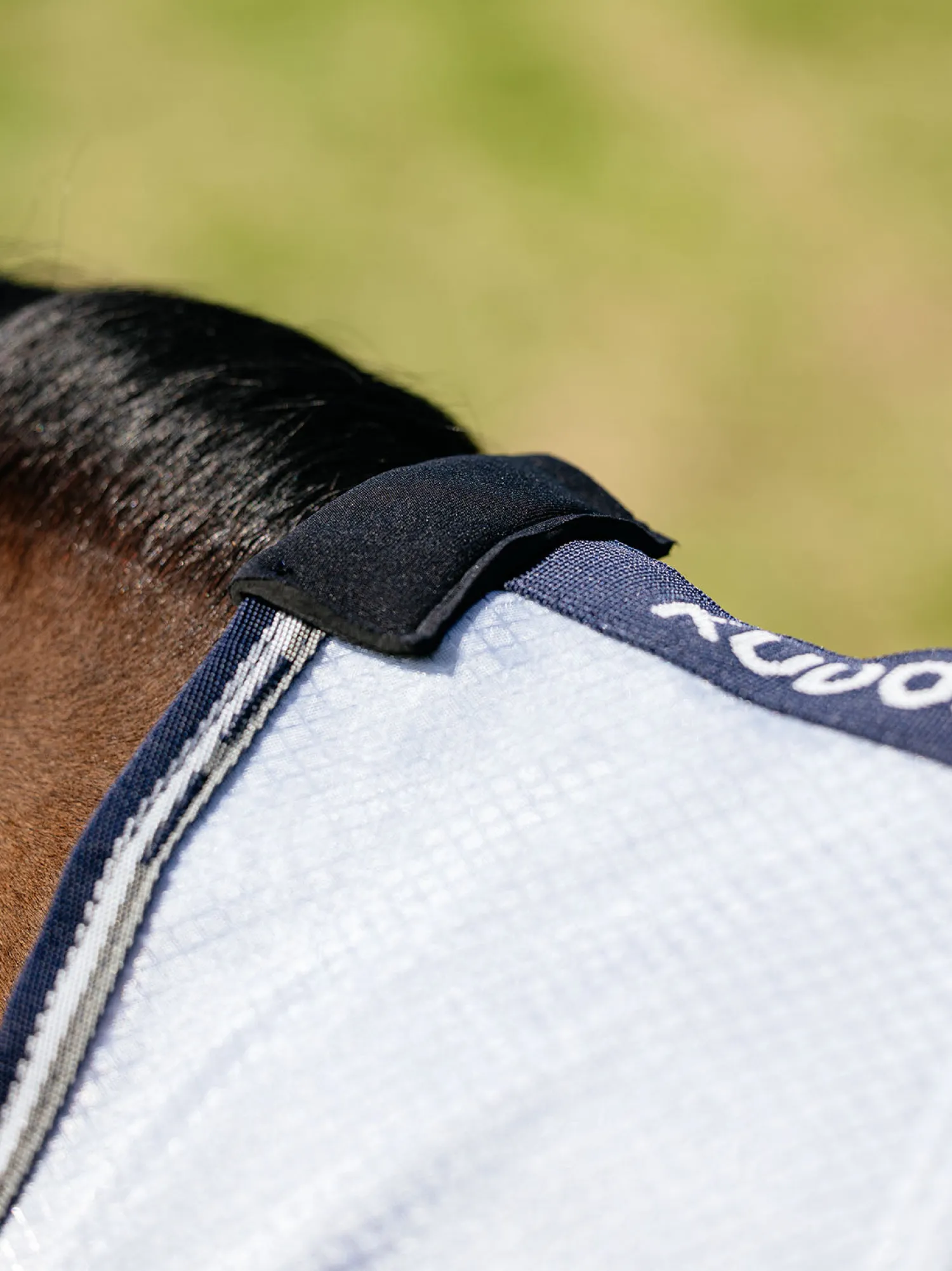 Best HORSE HEALTH TRADE LeMieux® Kudos AeroGuard Fly Sheet Silver