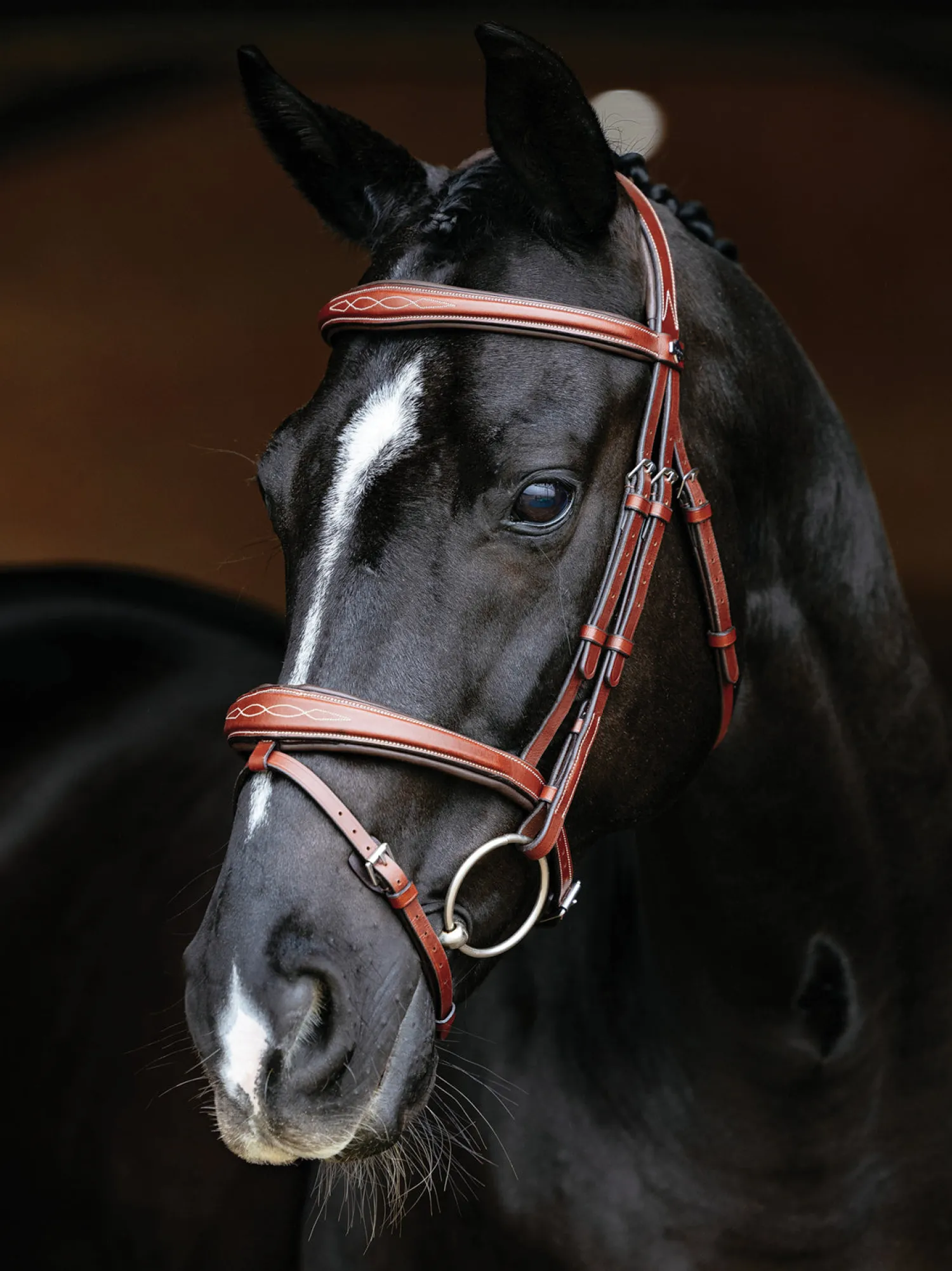 Hot HORSE HEALTH TRADE LeMieux® Kudos Competition Flash Bridle