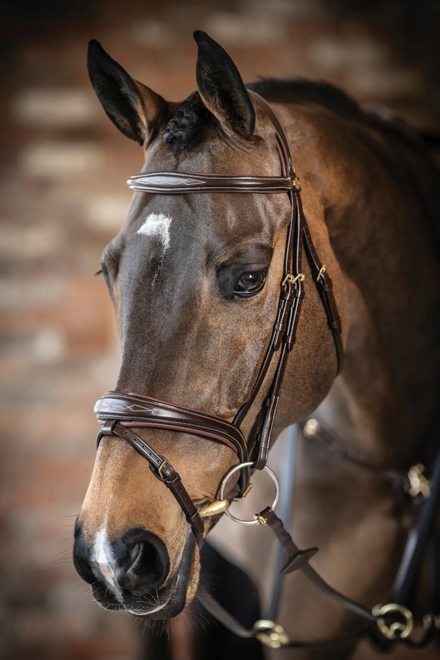 Hot HORSE HEALTH TRADE LeMieux® Kudos Competition Flash Bridle