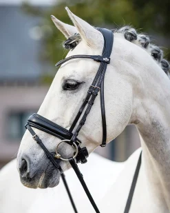 HORSE HEALTH TRADE LeMieux® Kudos Dressage Flash Bridle Black