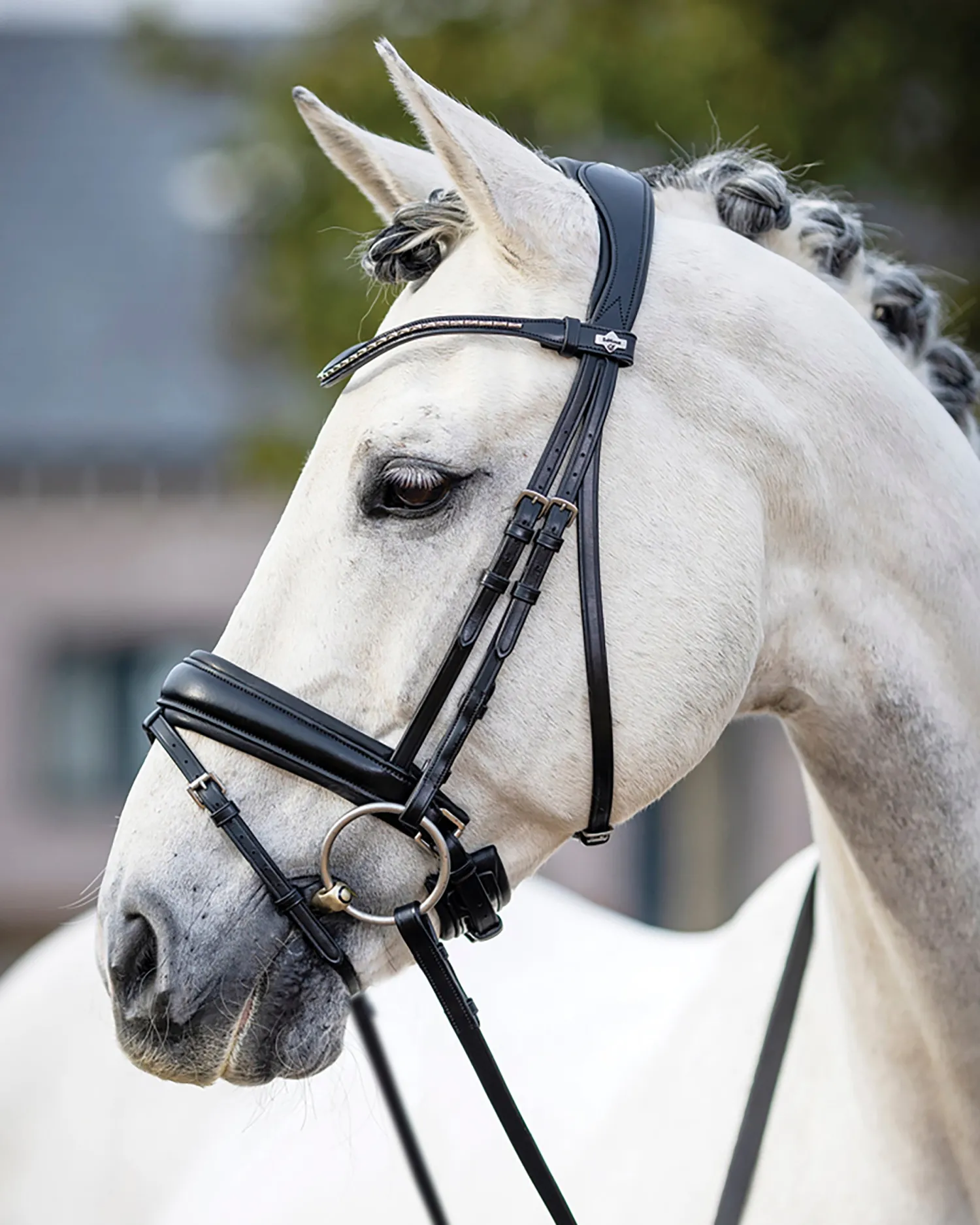HORSE HEALTH TRADE LeMieux® Kudos Dressage Flash Bridle Black