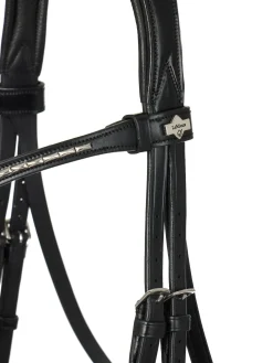 HORSE HEALTH TRADE LeMieux® Kudos Dressage Flash Bridle Black