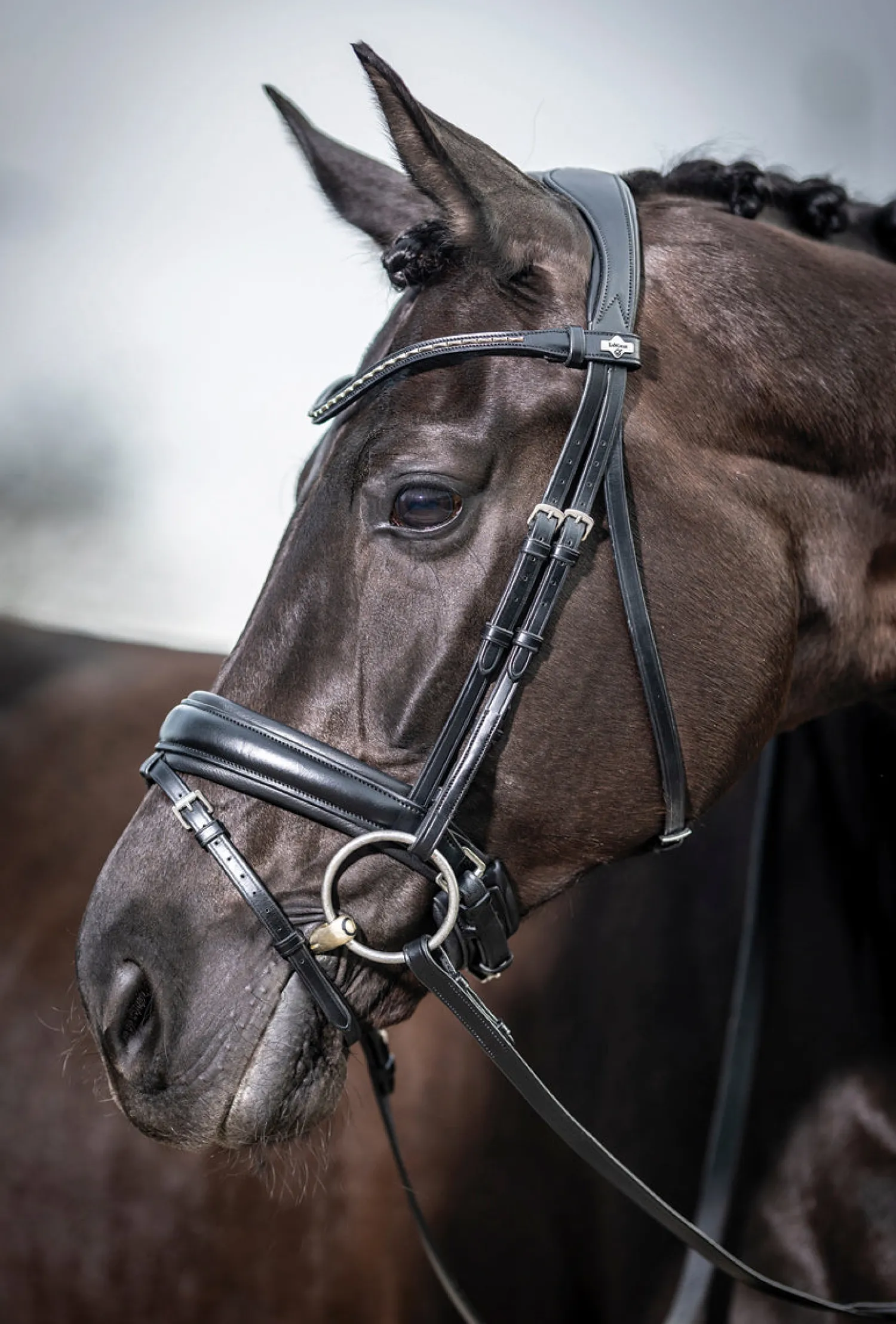 HORSE HEALTH TRADE LeMieux® Kudos Dressage Flash Bridle Black