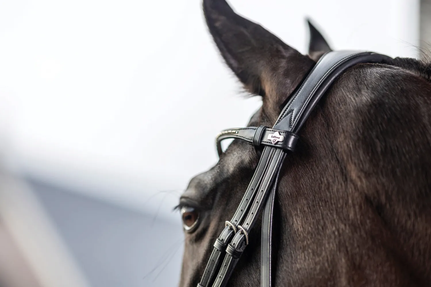 HORSE HEALTH TRADE LeMieux® Kudos Dressage Flash Bridle Black