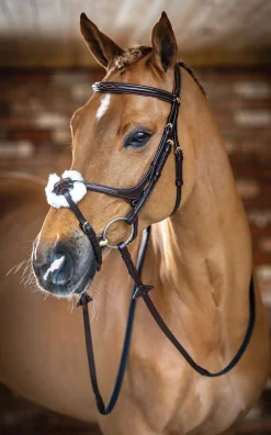 New HORSE HEALTH TRADE LeMieux® Kudos Figure-8 Bridle