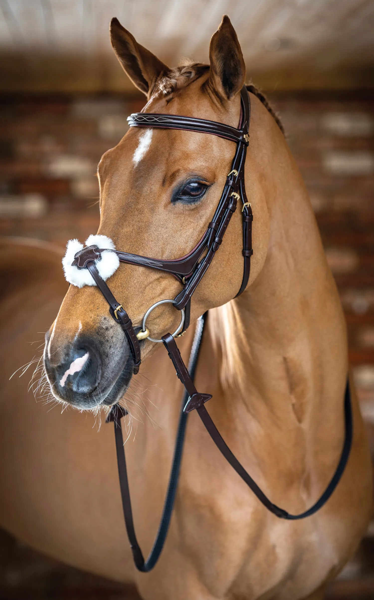 New HORSE HEALTH TRADE LeMieux® Kudos Figure-8 Bridle