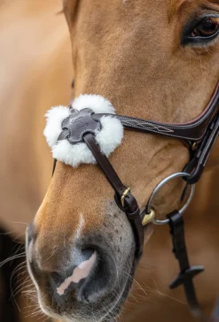 New HORSE HEALTH TRADE LeMieux® Kudos Figure-8 Bridle