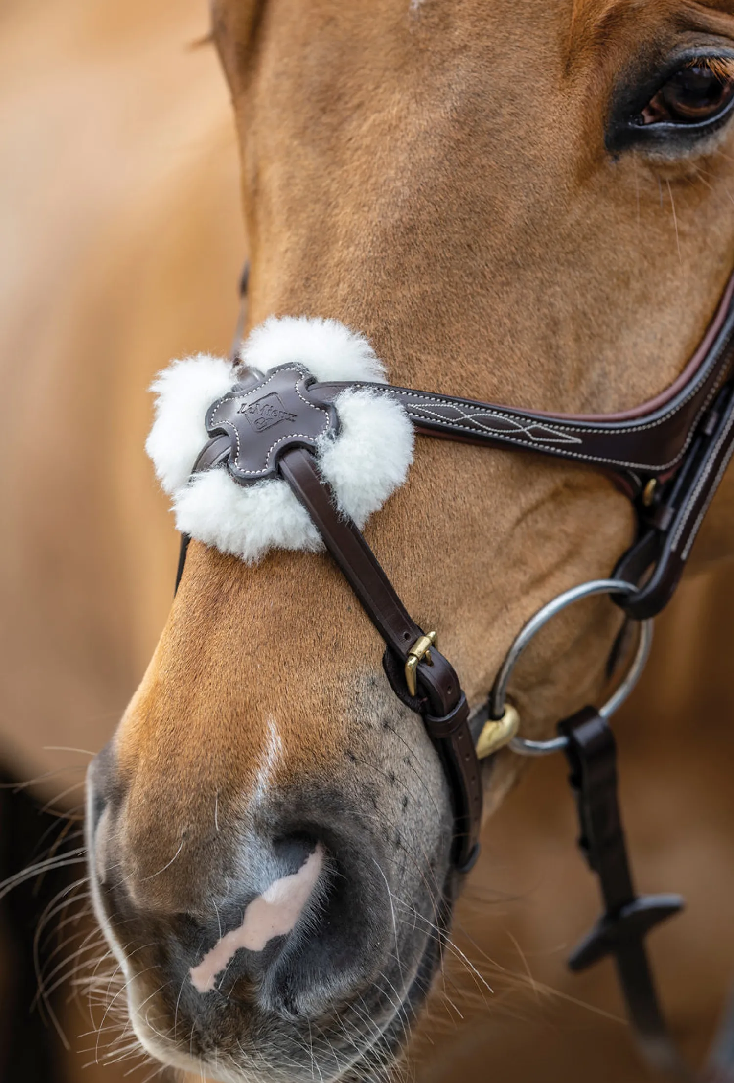 New HORSE HEALTH TRADE LeMieux® Kudos Figure-8 Bridle