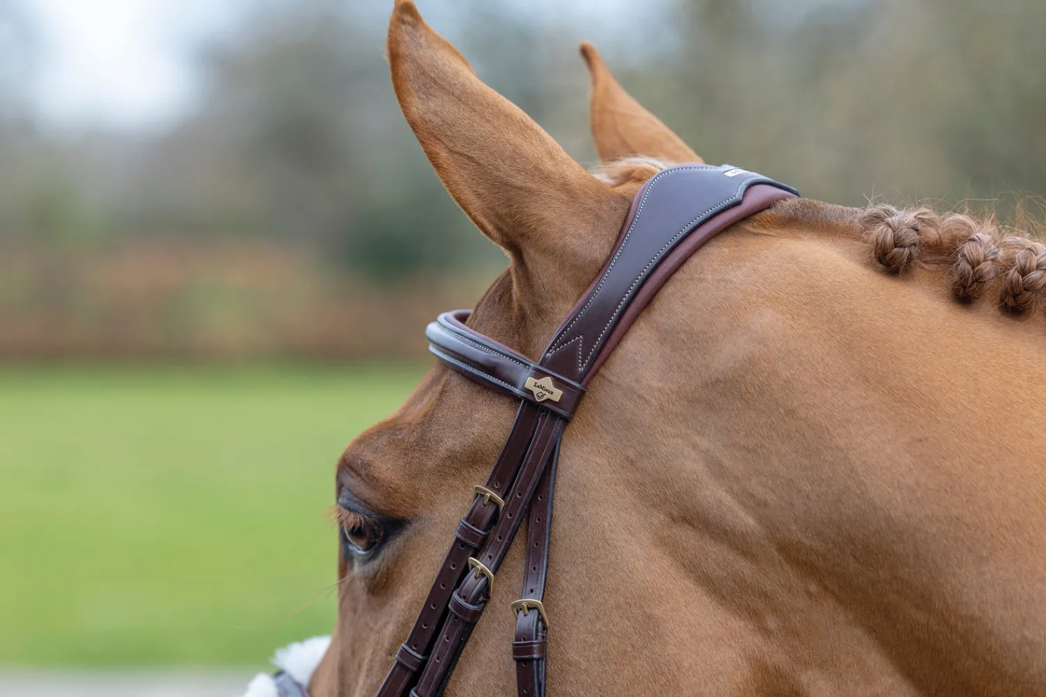 New HORSE HEALTH TRADE LeMieux® Kudos Figure-8 Bridle