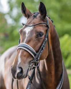 Hot HORSE HEALTH TRADE LeMieux® Kudos Patent Double Bridle Black/White