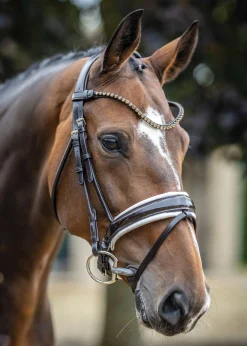 Sale HORSE HEALTH TRADE LeMieux® Kudos Patent Leather Dressage Bridle