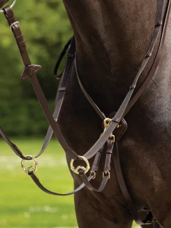 HORSE HEALTH TRADE LeMieux® Kudos Running Martingale