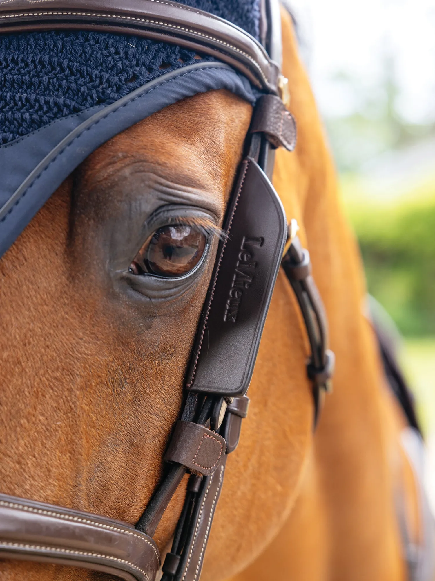 Online HORSE HEALTH TRADE LeMieux® Leather Bridle Blinkers