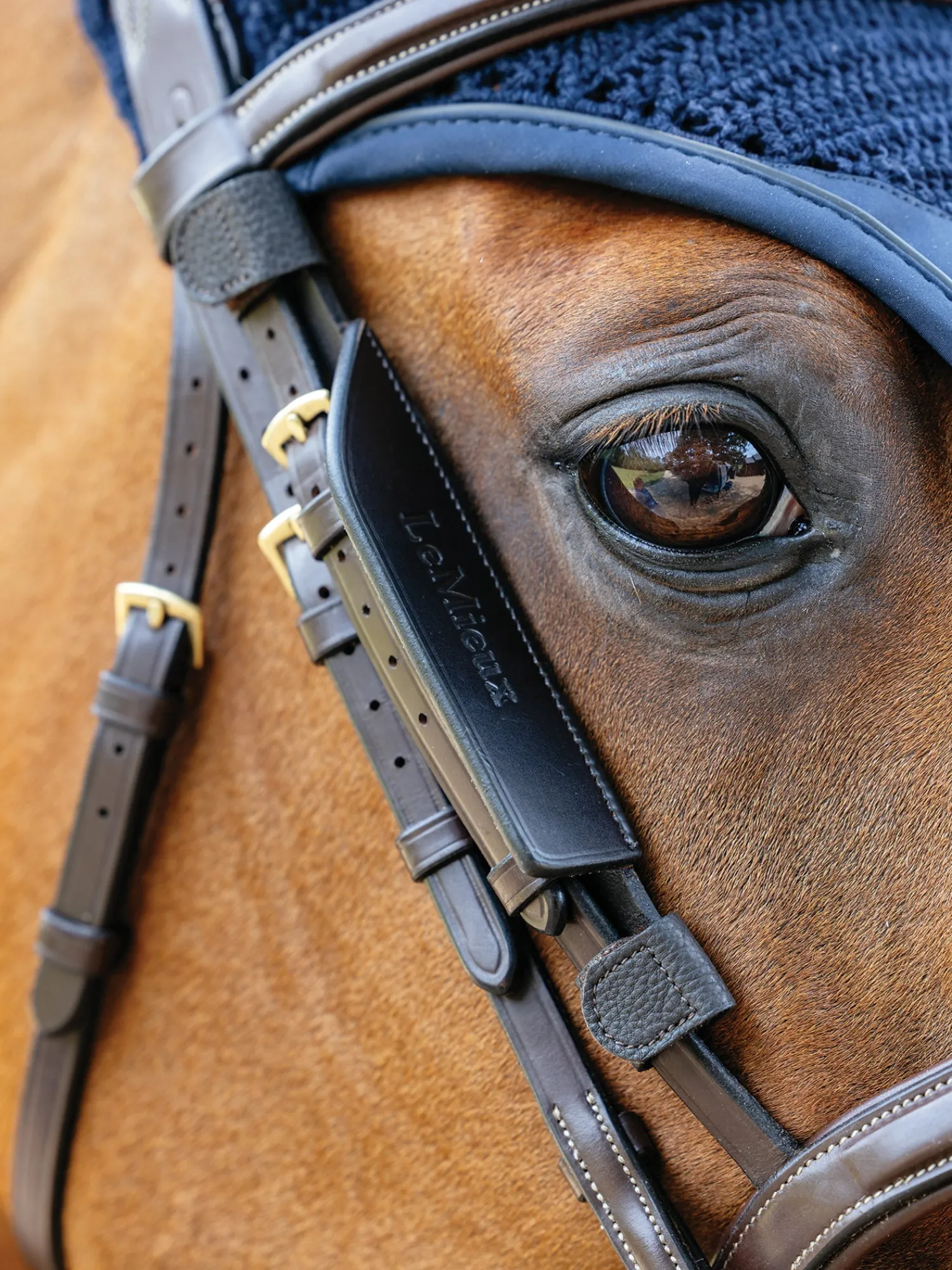 Online HORSE HEALTH TRADE LeMieux® Leather Bridle Blinkers