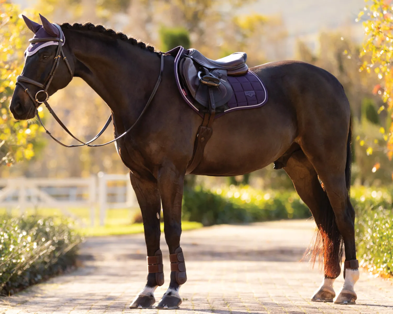 Discount HORSE HEALTH TRADE LeMieux® Loire Classic Close Contact Saddle Pad