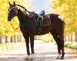 New HORSE HEALTH TRADE LeMieux® Loire Classic Dressage Saddle Pad
