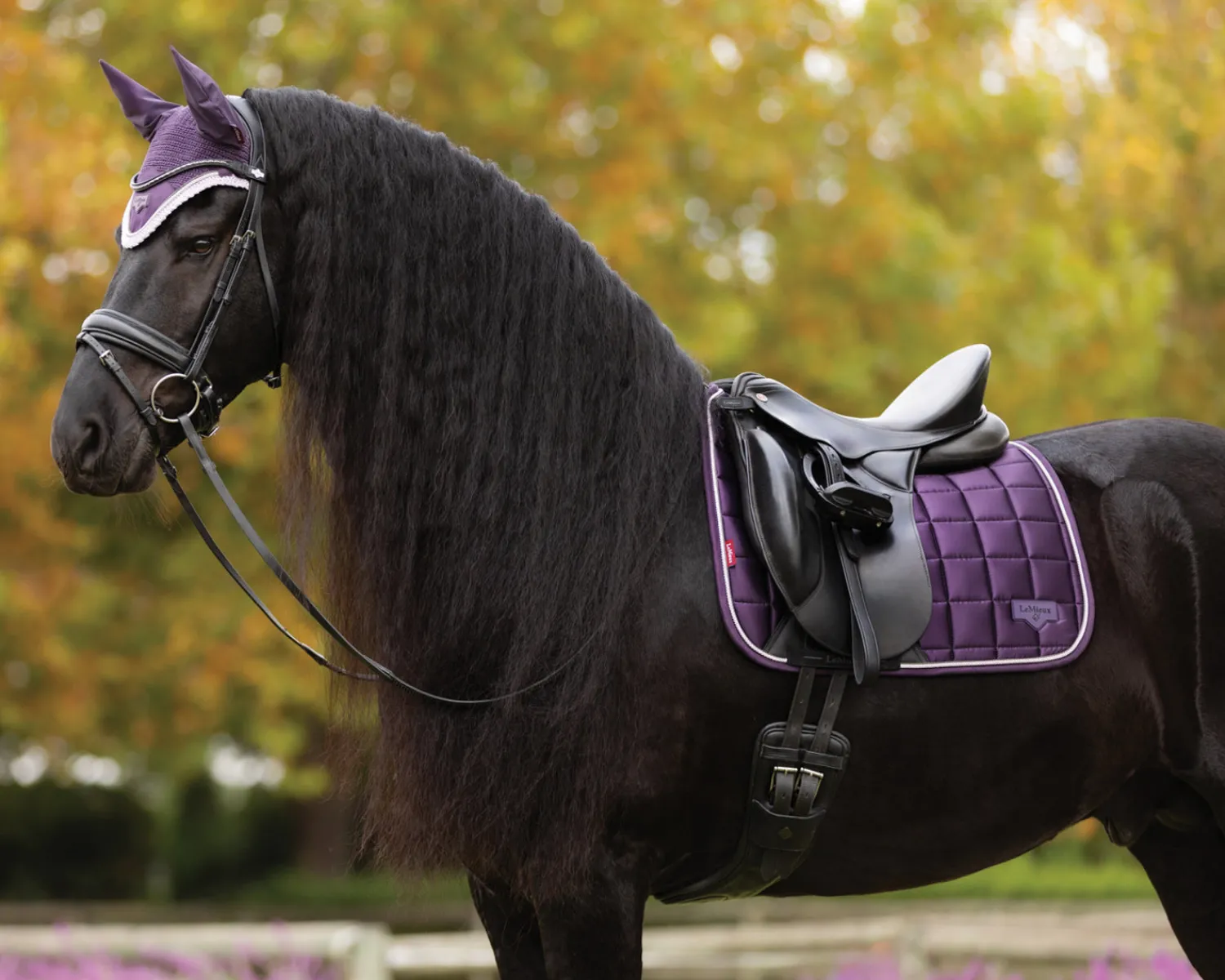 New HORSE HEALTH TRADE LeMieux® Loire Classic Dressage Saddle Pad
