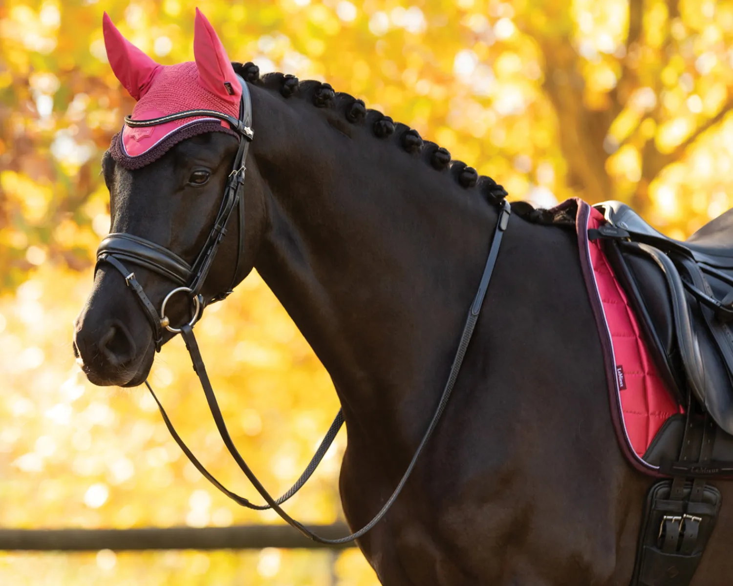 New HORSE HEALTH TRADE LeMieux® Loire Fly Bonnet