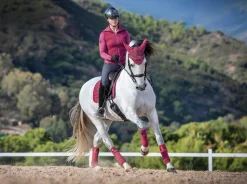 Clearance HORSE HEALTH TRADE LeMieux® Loire Polo Bandages