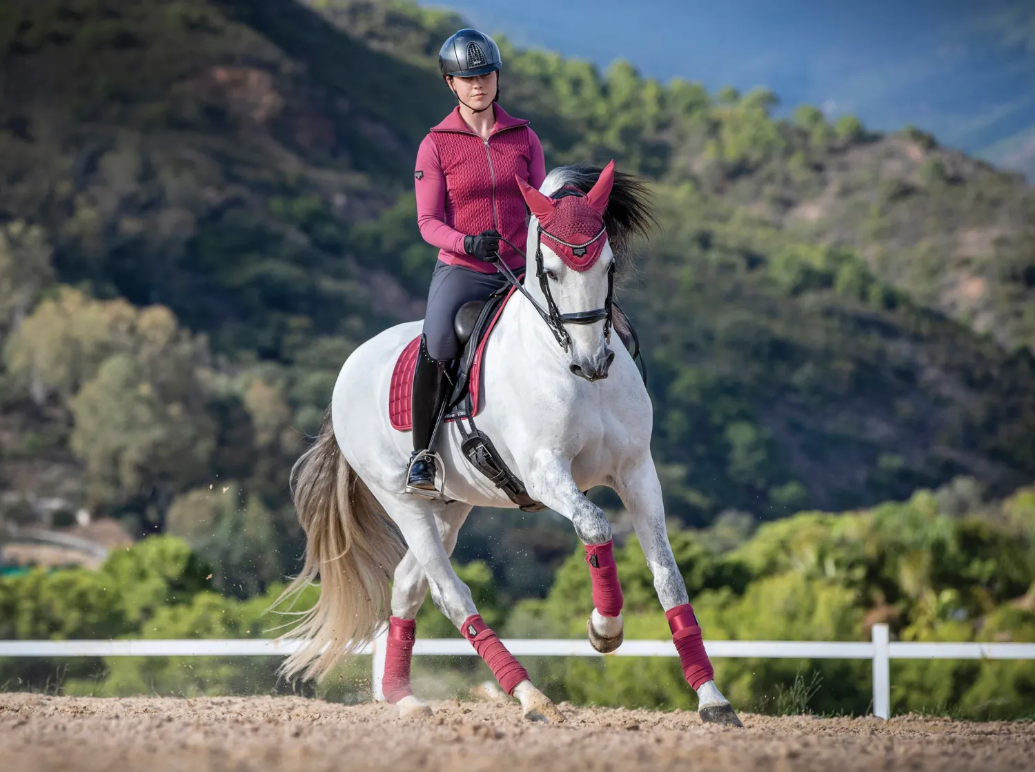 Clearance HORSE HEALTH TRADE LeMieux® Loire Polo Bandages