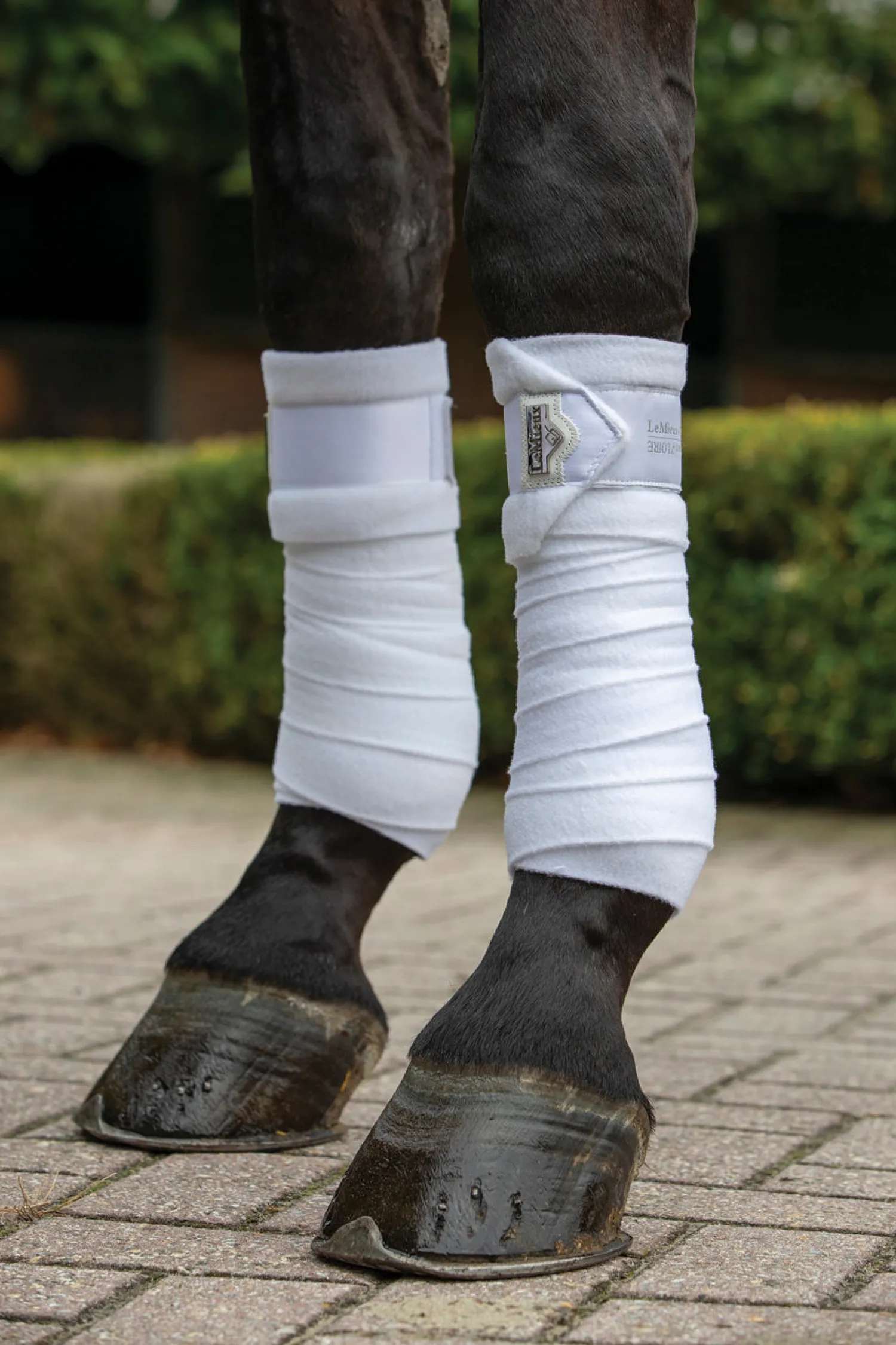 Clearance HORSE HEALTH TRADE LeMieux® Loire Polo Bandages