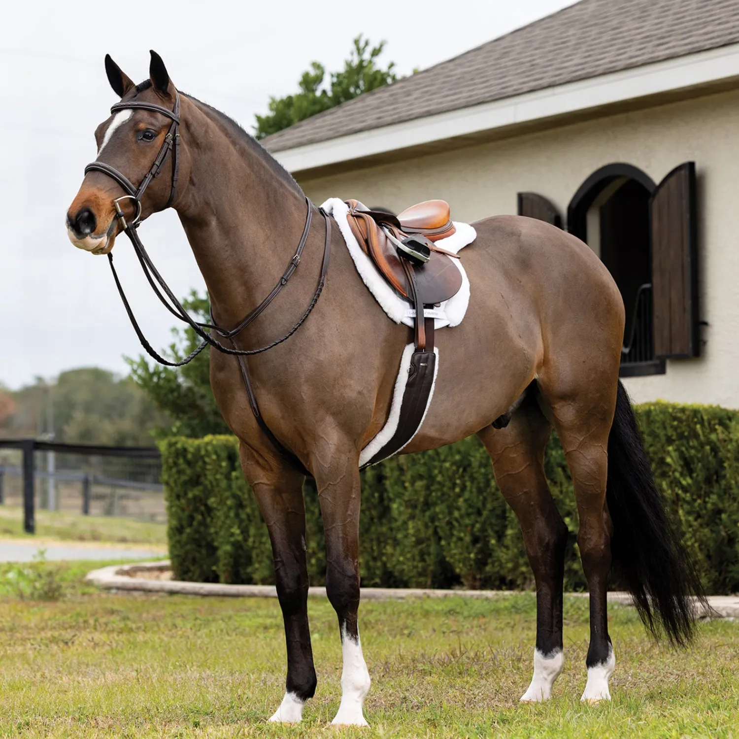 Online HORSE HEALTH TRADE LeMieux® Merino+ Hunter Saddle Pad White/White